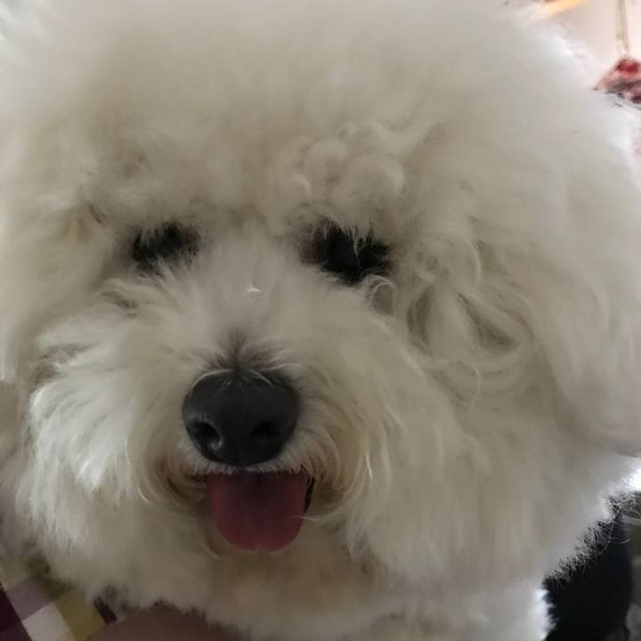 Fef0ed32 f8f2 477f 9a93 198282826c5c 1528617537213