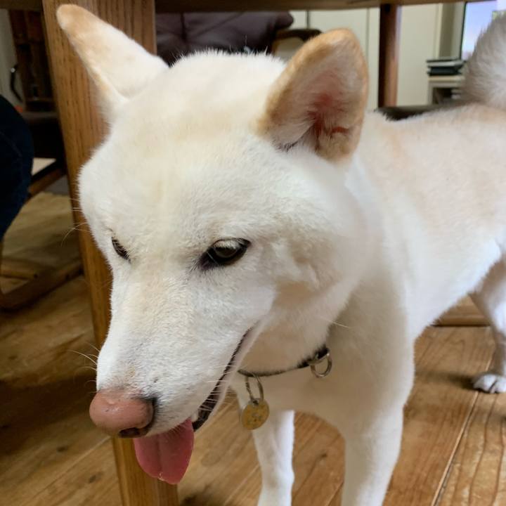 Fef11373 bca4 42c4 9f71 aaeeef41dbf9 1600058331515