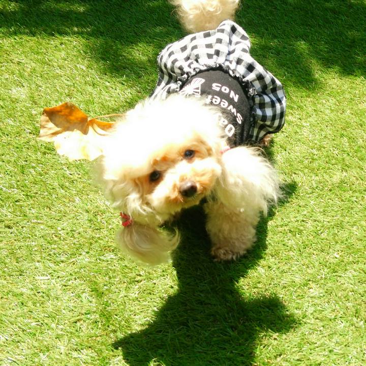 Fef1158d 7d66 4378 9205 e8db0f0cae9e 1559786292847