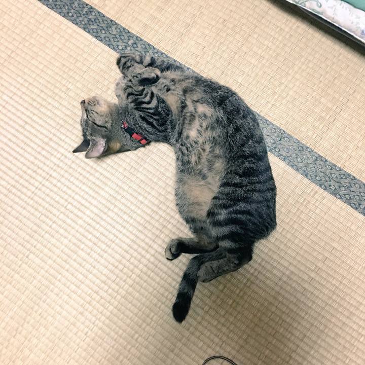 Fef1218c 2ab0 4eee add4 169bbae71e6b 1528462409669