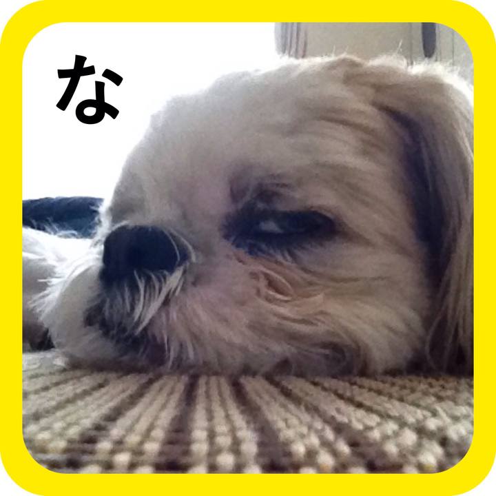 Fef1449f 1065 499a 9792 358d7e6310a3 1515070766309