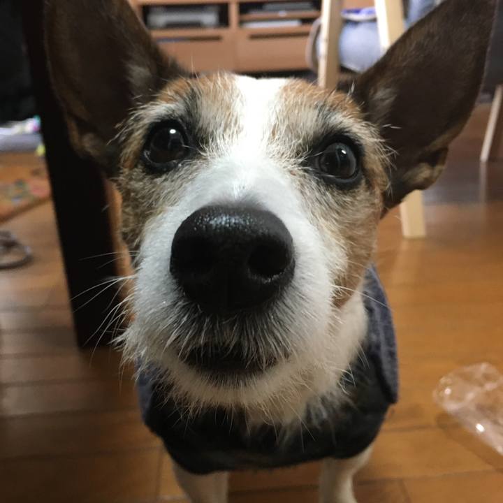 Fef1b89c d56b 4f4c a02c c992ec82e3fa 1576019114396