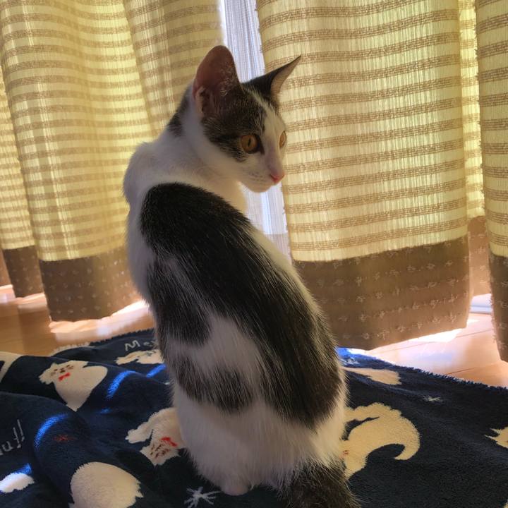 Fef1e300 4316 4e27 aaa0 e7932e3250a4 1569208059938