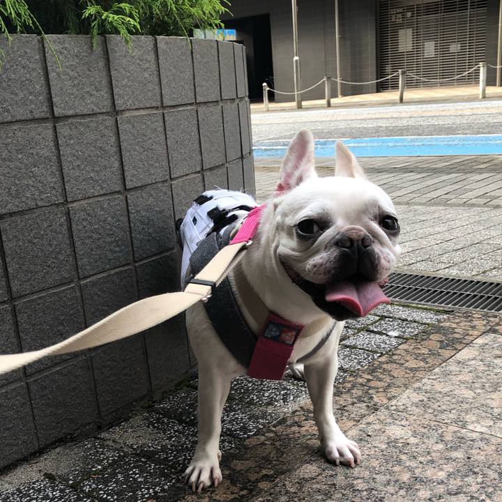 Fef21f7c 68b1 420e 8972 f872a05dd2fc 1569634663195