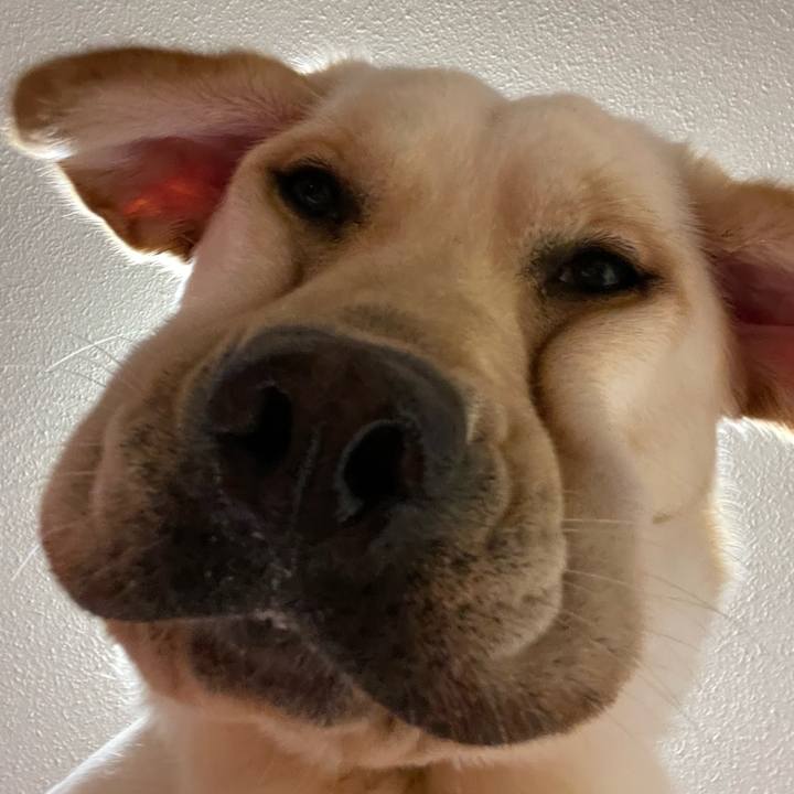 Fef23485 f537 4290 9e92 f384a59ccfeb 1657631651767