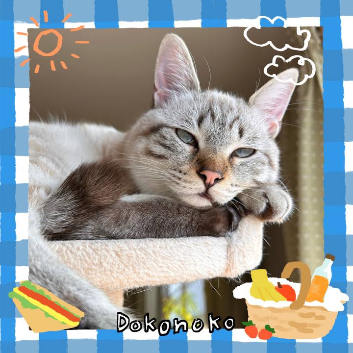 Fef27f37 f9b8 4f61 9158 42e7bb1e9c2f 1744808329756