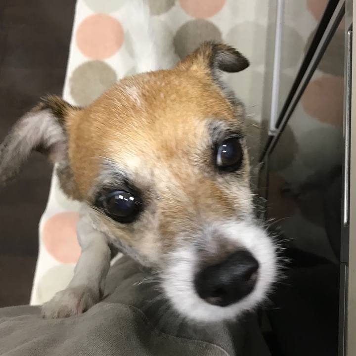 Fef28219 877c 4c9f 8a30 35a66163f9fc 1569967306332