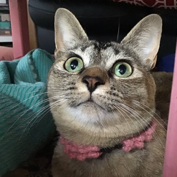 Fef29989 6c75 4d6a a473 6162dd17beee 1592532443740