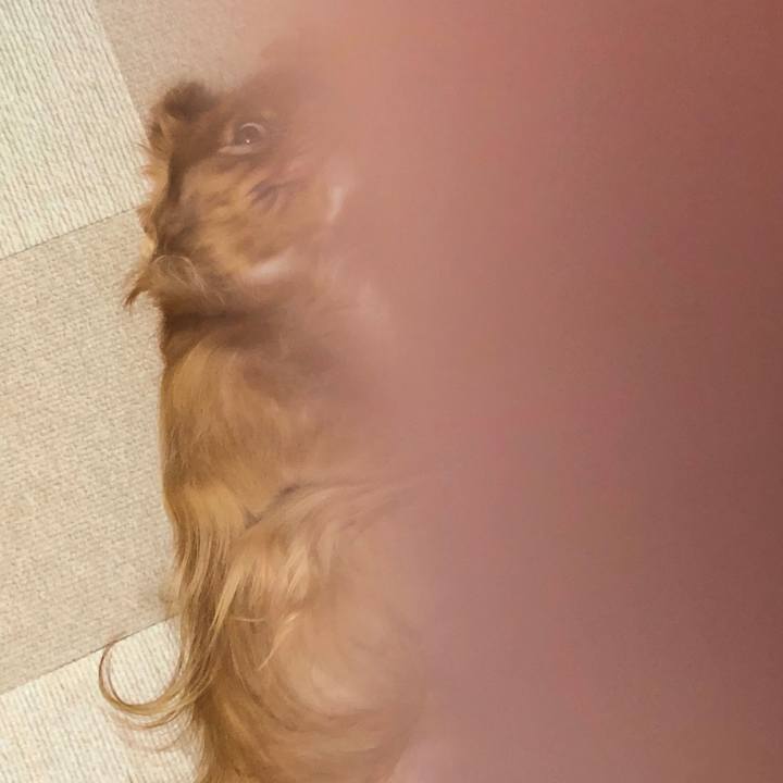 Fef2aaae e9f5 4ad1 b3df 84fdfc91bb4a 1553513434159