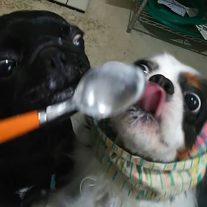 Fef2ba49 aace 46a0 8ef8 c463d1401397 1548739959712