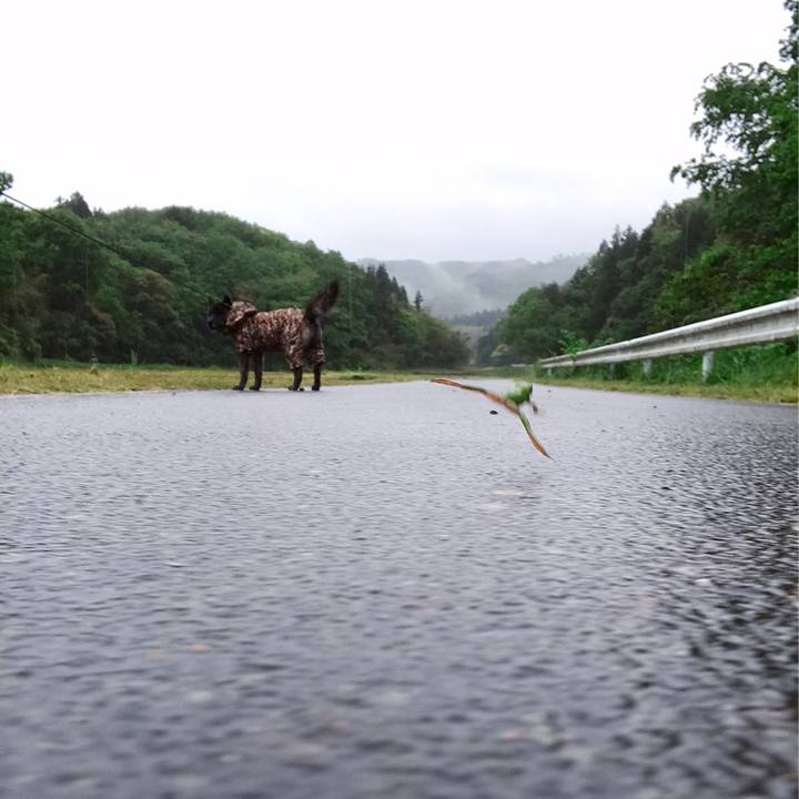 Fef2cf5c dcde 4ff1 bf5b ab8d8e9899ad 1558394467791