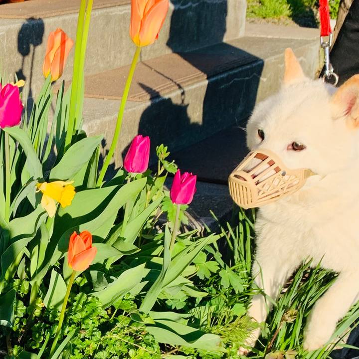 Fef2db4f 2fc6 42b4 b000 16642a1902c3 1589492561907