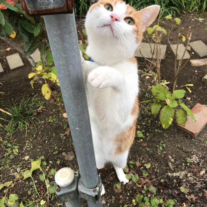 Fef2f4f3 b79d 4961 b130 abb9cf1afcb7 1510881500346