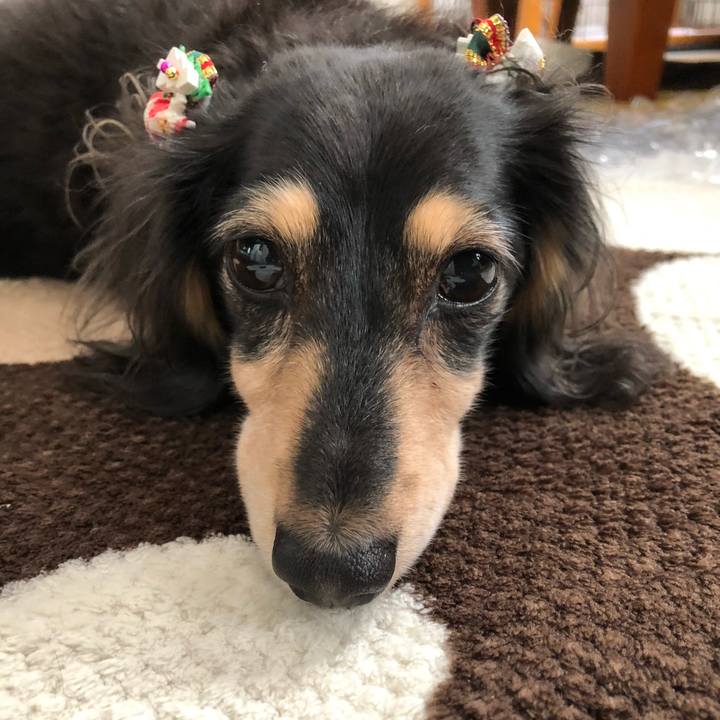 Fef2f8a2 cb09 4114 940a def0a201331a 1574221733519