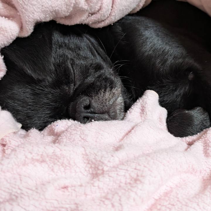 Fef30507 620c 4dc2 b259 96b5d55e5ff6 1771341296642