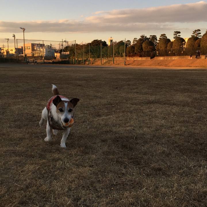 Fef313d0 ec10 416d b481 cc9b6148fe22 1609889308887