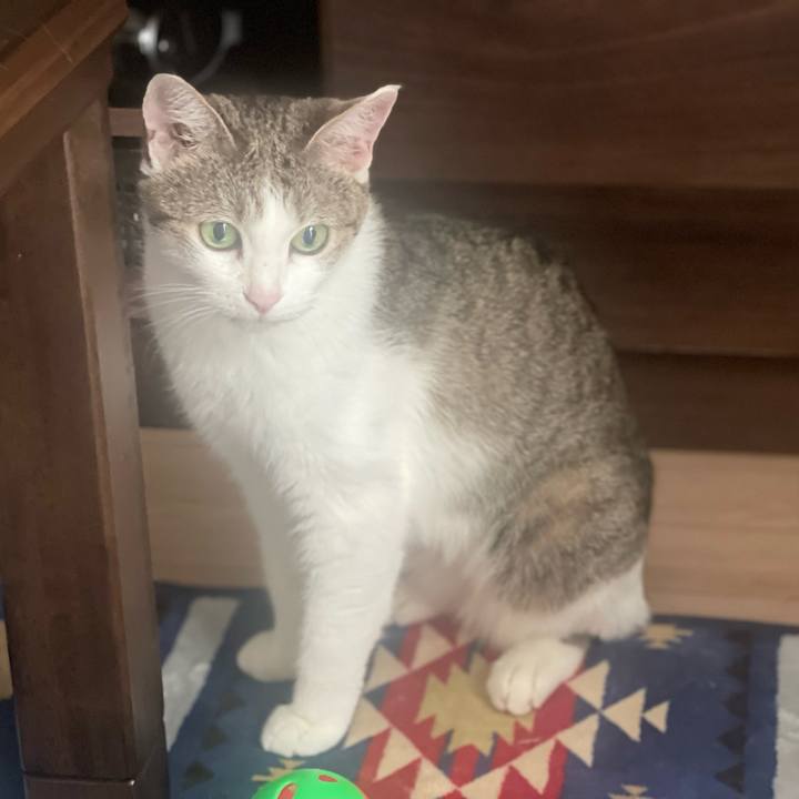 Fef315cc dfaf 49d1 9228 db7693d43c70 1723678932330