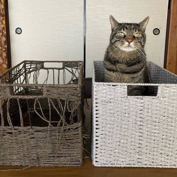 Fef326c9 1b56 44ef 94a8 0c7eaf343eba 1698981192187