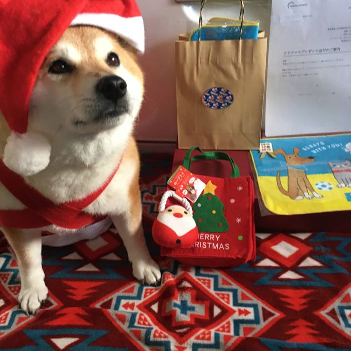 Fef32d5e aab2 4d0c 8bae fa16abc19124 1608861903170