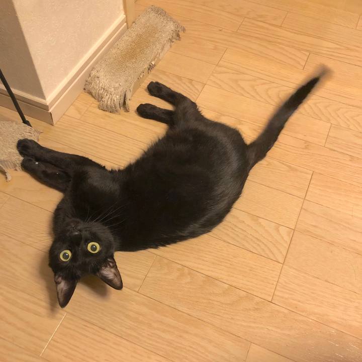 Fef38d3c 2df1 45e4 8622 9a9b17360ad7 1565179960211