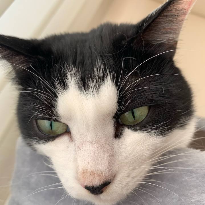 Fef3b066 3384 4bfc bc8b 0fe828ea11c5 1670633723523