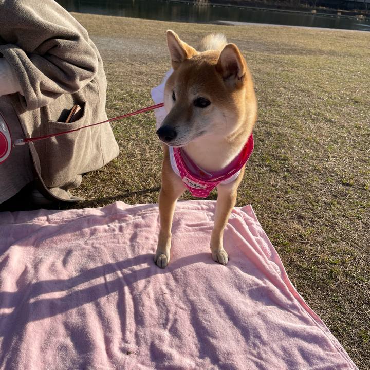 Fef3bf21 d547 42bd bed6 37dea9c01b5c 1677837385659