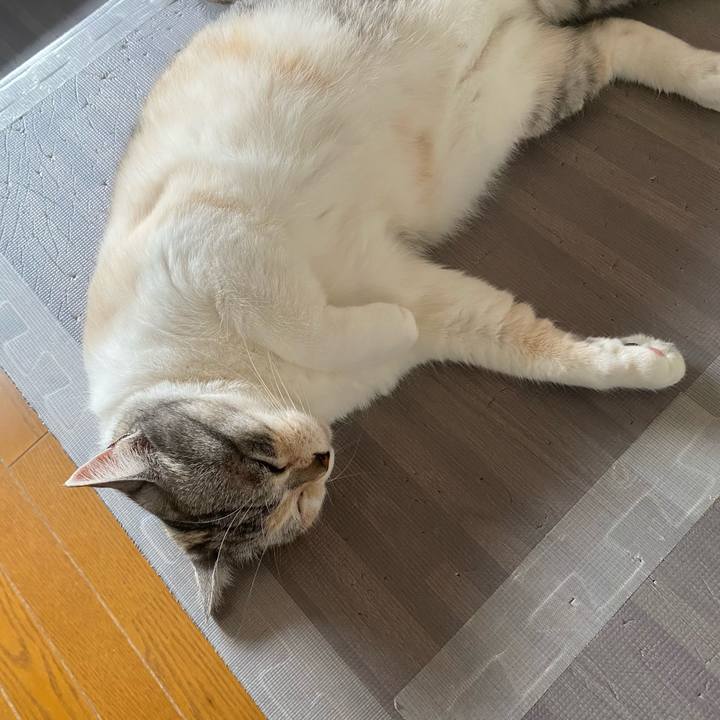 Fef3cc13 2ed3 4175 b354 faa269e7d5c6 1622898319468