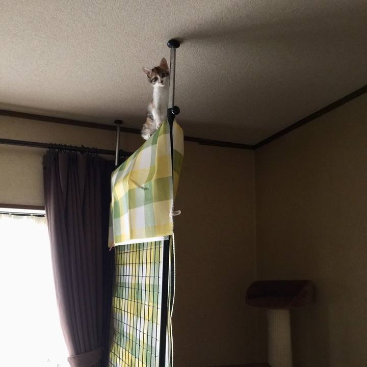 Fef3ea06 cf9f 4c0d 8729 d46136dcbc1a 1630452142071