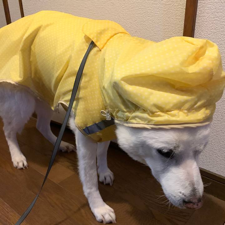 Fef40cd6 2ffe 4d1c a7d7 eeff0630f2eb 1577665628064