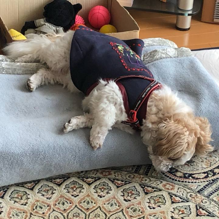 Fef42a67 5499 4a75 90dc d4c513242cde 1603057847170