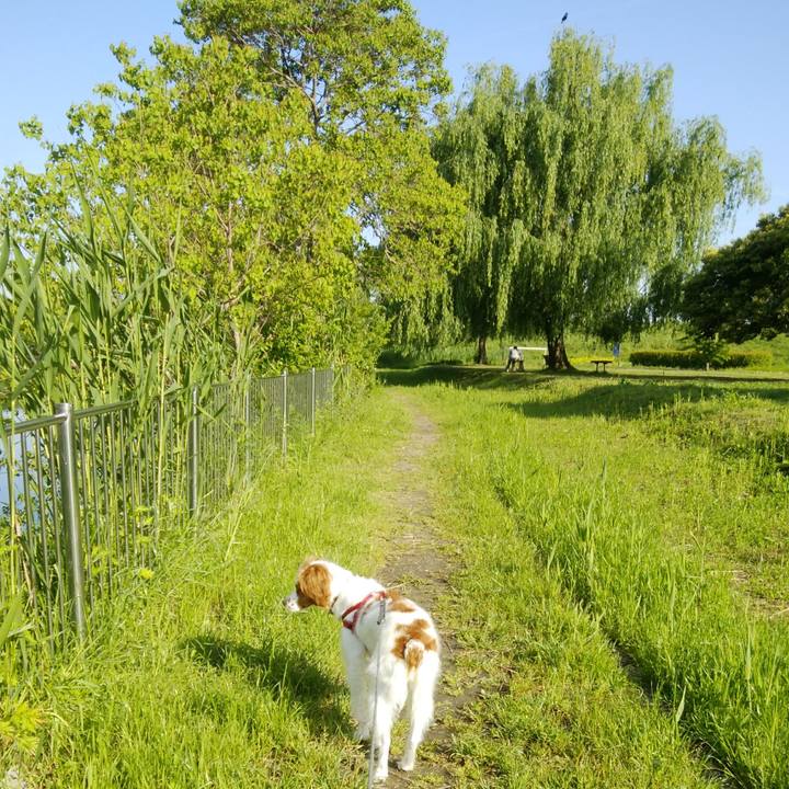 Fef46c7e b18c 423b a12b dd6acbbdd0d6 1526000098793