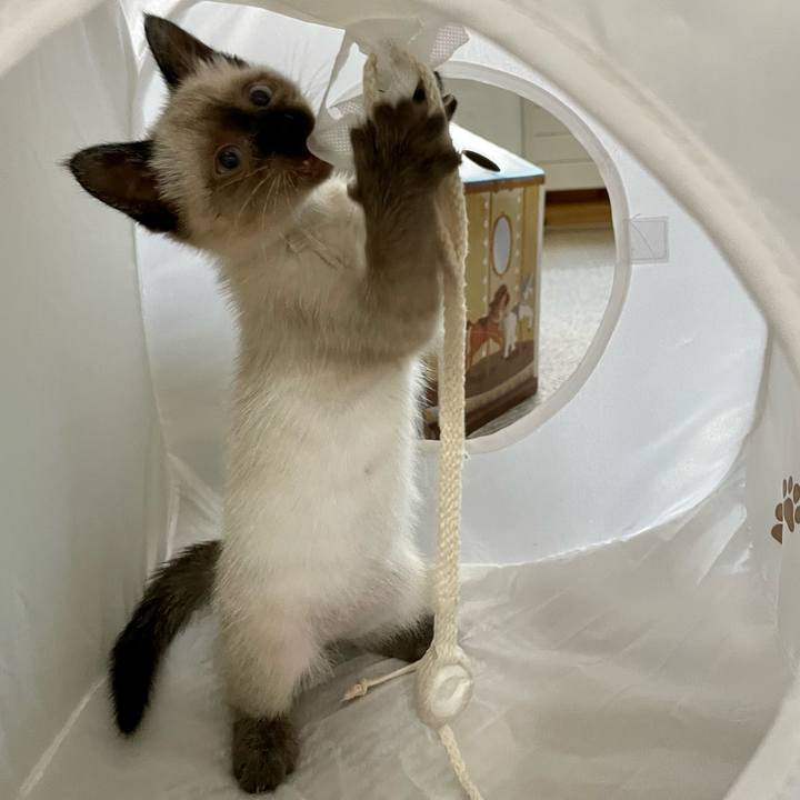 Fef4995f be6f 4386 a984 82054887e8fc 1688416352272