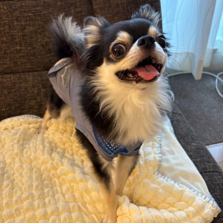 Fef499a3 a37b 4ec6 a797 9c112f0380cd 1728231280652