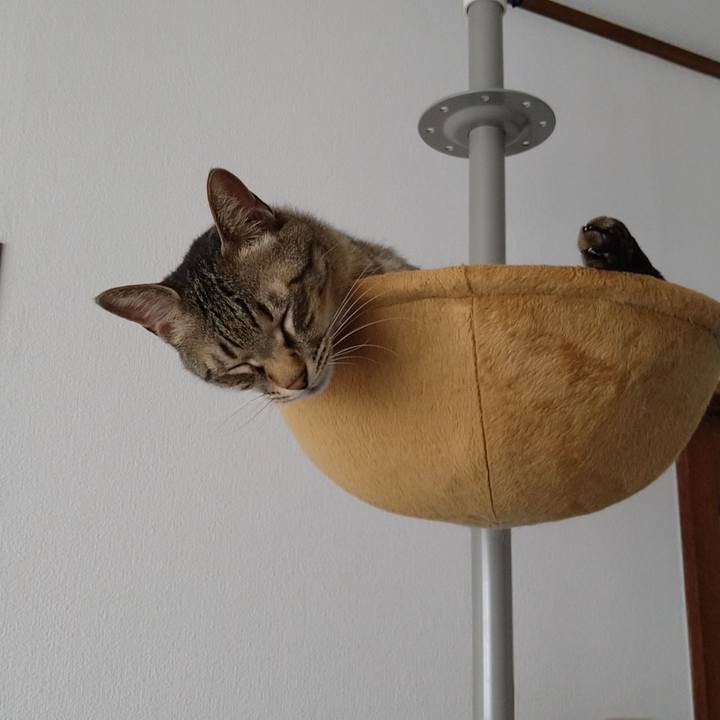 Fef4be99 d812 4b79 96f0 a3718217b2a4 1656720738387