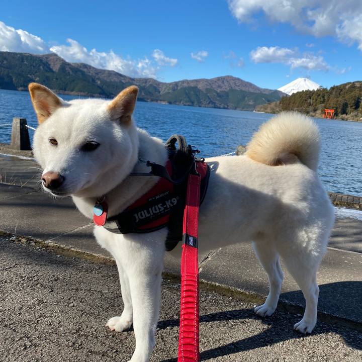 Fef4c9c3 7ec1 4e7f ab5b 1addbaafa97f 1639829801338