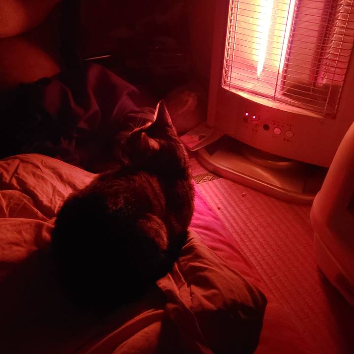 Fef54f02 c844 4163 a88a a62ac03ca914 1542745923321