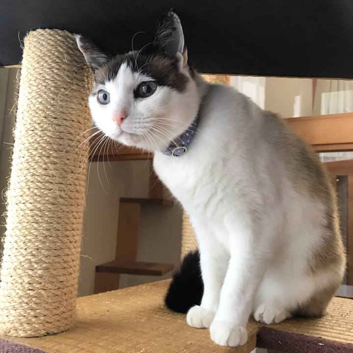 Fef596f0 a062 49a5 a9e2 c46617ff32ad 1587900762508