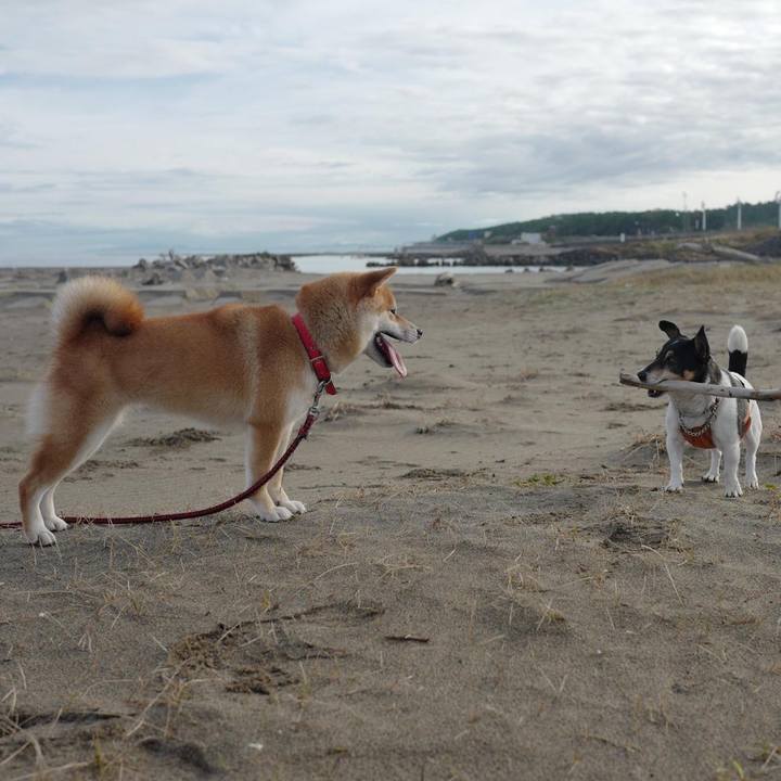 Fef5cc50 c7db 42c9 8bd9 2f492f236cc5 1508559775489