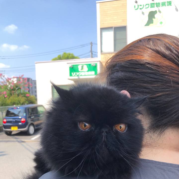 Fef5dd5f 0ec0 44f9 bec4 a23b6750e1a5 1725756523542