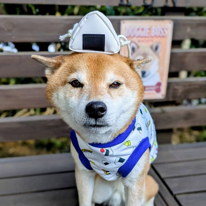 Fef62a08 992d 4e7b 8071 fab98b41c11f 1769237905761