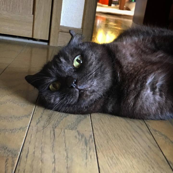 Fef63086 bcb2 44ee a90b 0127de89f26e 1528241092288