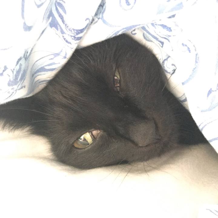 Fef6388f 51e0 4a78 ae5c e7ffbab4371c 1603071364177