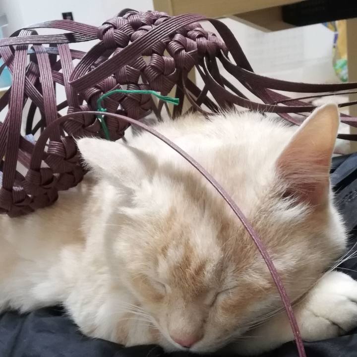 Fef6481a 9e36 4f20 a079 f37b949f7260 1620774626366