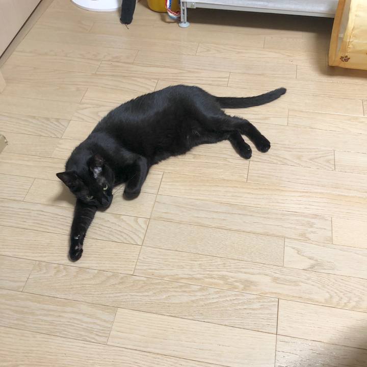 Fef64853 242c 4c1c b269 b09581d89b5e 1597060422399