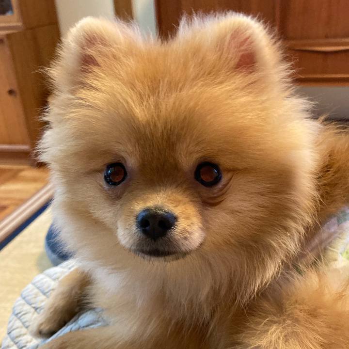 Fef67aae 1940 4cc2 8132 1f09822db266 1645745166647