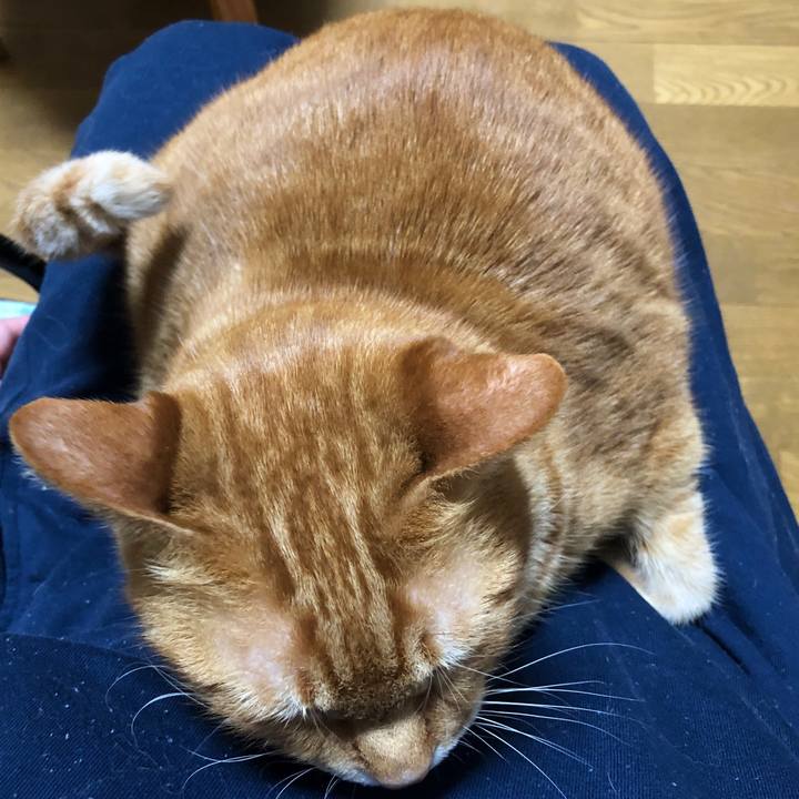 Fef67cc7 cdf3 4c4c 9238 956533c520fe 1738149563731