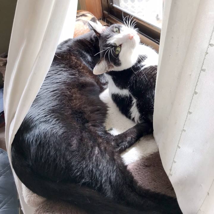 Fef67edf 28e0 4086 8c04 e4d73a502d4c 1537317915477