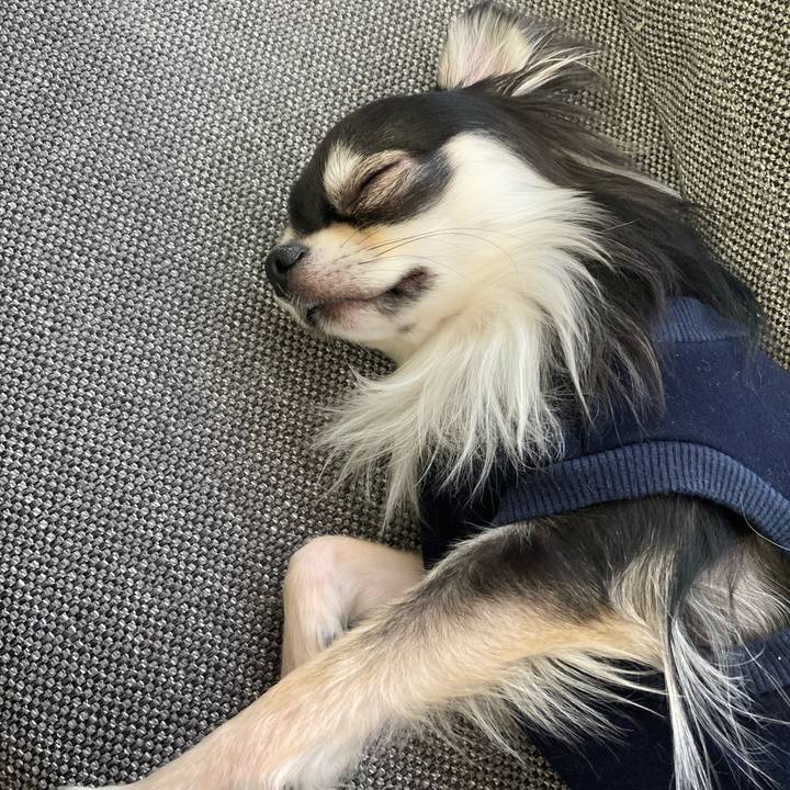 Fef689cf aaf3 41ea a728 86fe56454480 1614398261300