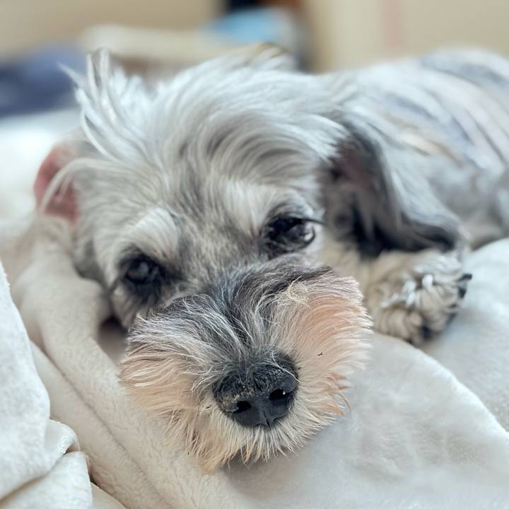 Fef68a1b b104 4d8e 885d 0ff074f92339 1762399370657