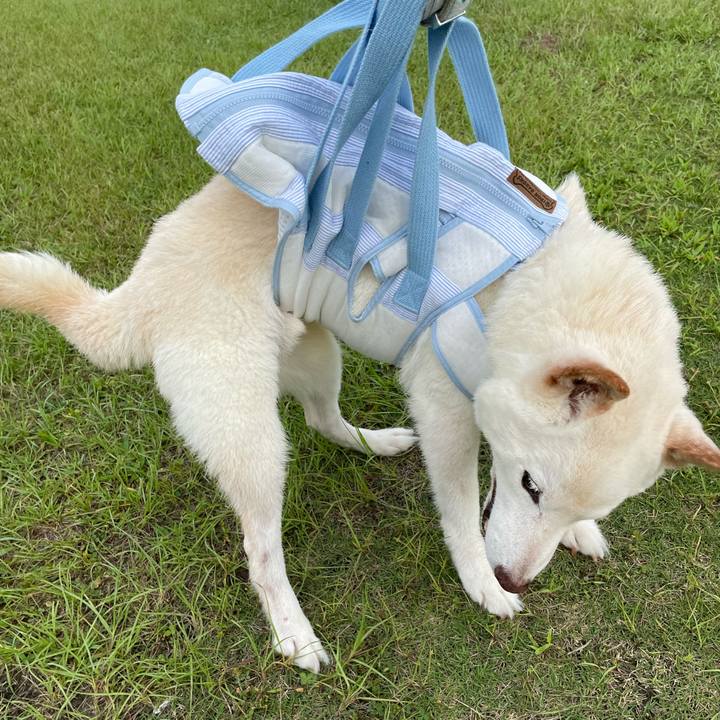 Fef68e16 8c1c 40ce 9bcf cd1bee324aa2 1660657439562